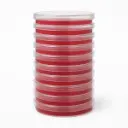 Edición fotos_20251121_122741_0000.webp