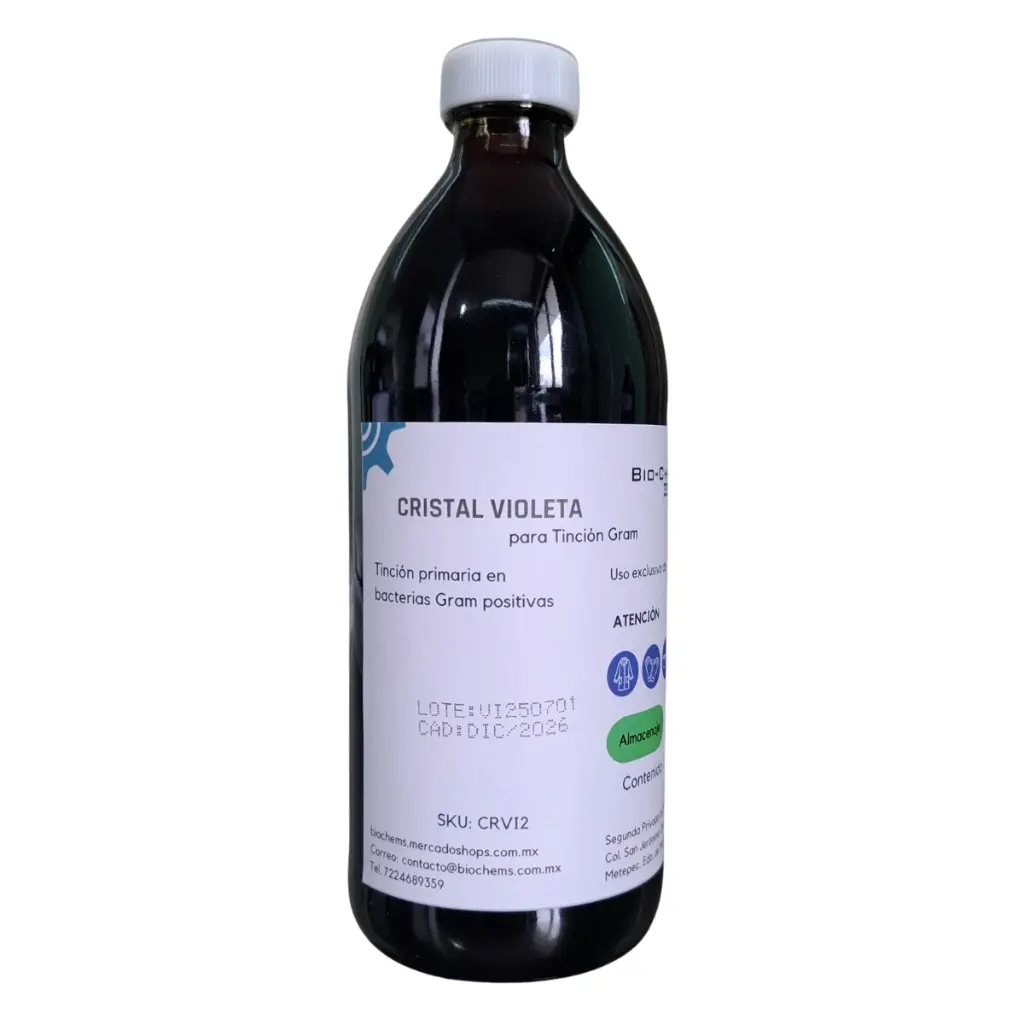 Violeta_500_2.webp